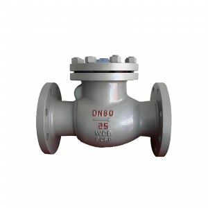 DN50 PN25 介質：甲胺，溫度：80℃止回閥